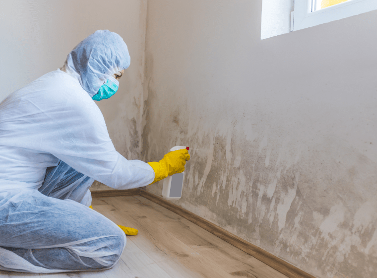 worker removing some mold from a beige wall